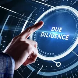 Due Diligence